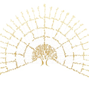 Family Tree Chart Blank Template PNG SVG Ancestor Chart DIY Family History Genealogy Gift Genealogy Research Ancestry Fan Chart Template