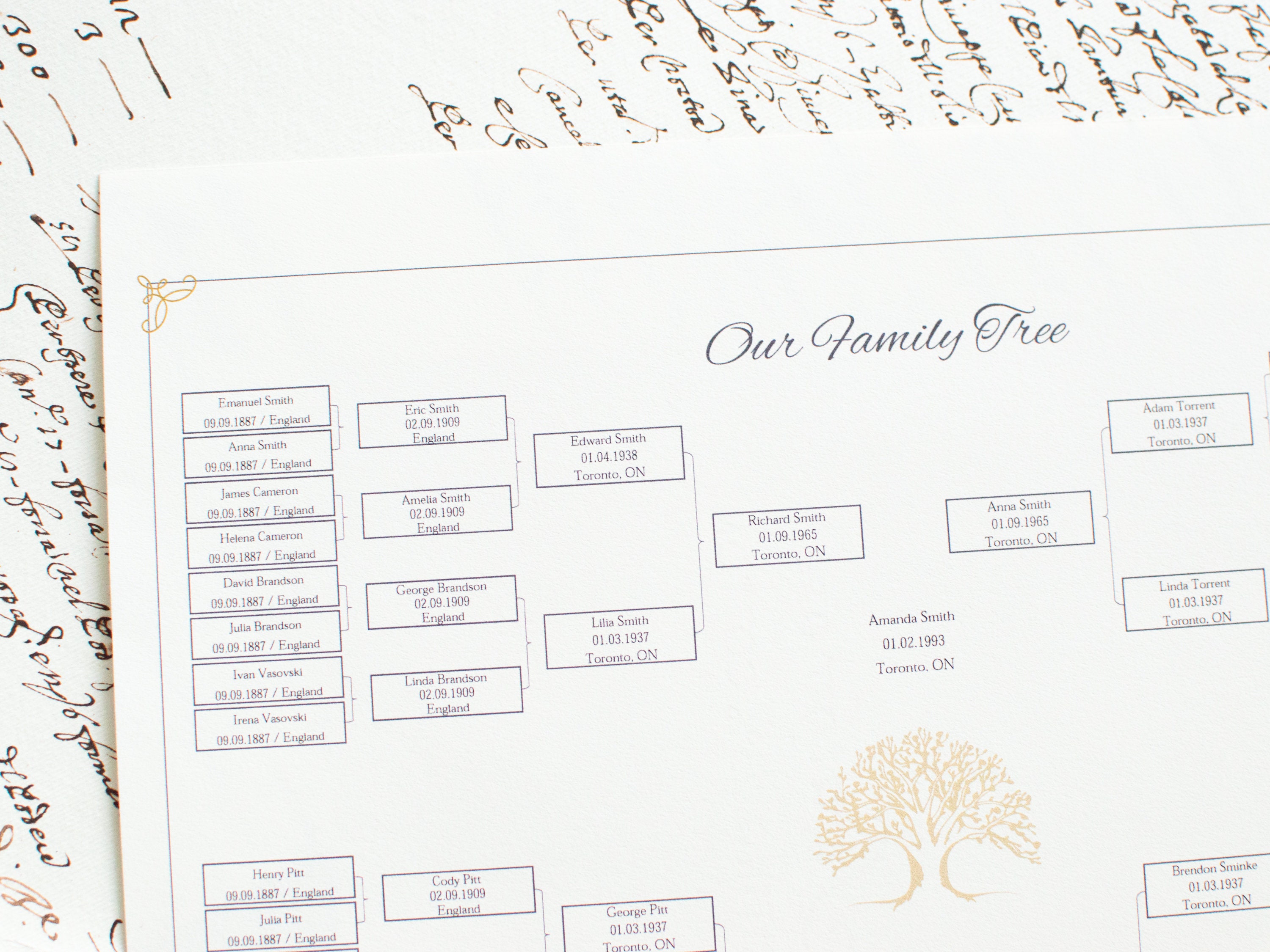 Genealogy Tree Editable Family Tree Printable Ancestor Chart 5 ...
