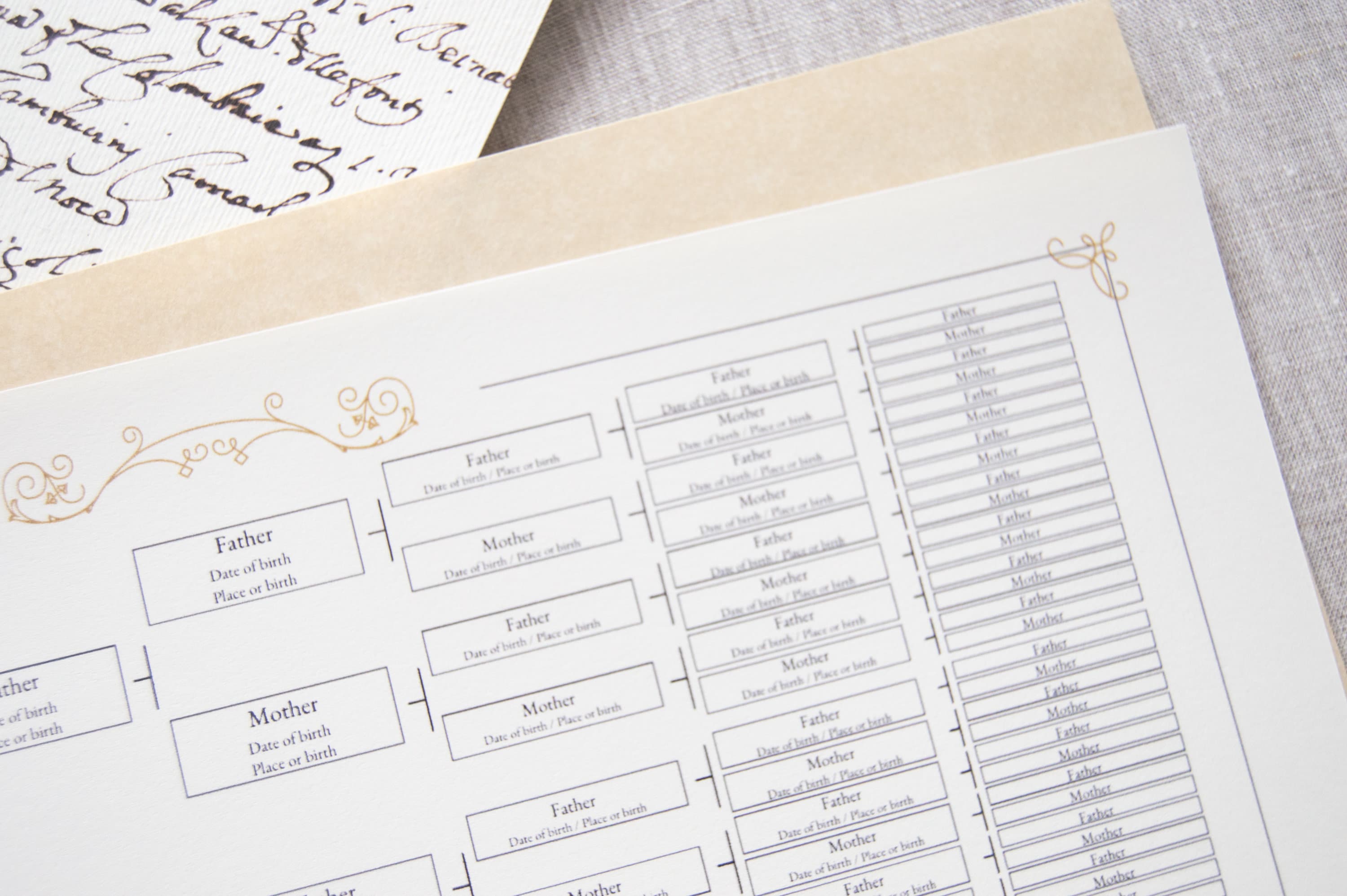 7 Generation Family Tree Chart, Editable Genealogy Template (PDF) - Etsy