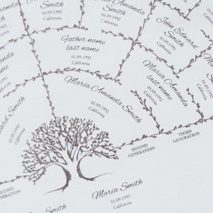 Editable Genealogy Fan Chart