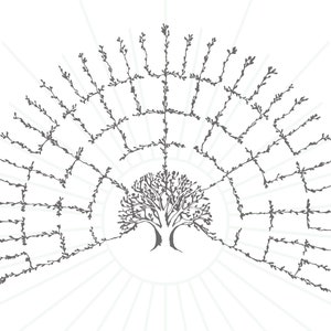 Family Tree Template Family Tree Ancestry Chart Circle SVG Blank Template Ancestor Chart DIY Genealogy Gift Genealogy Research Worksheet