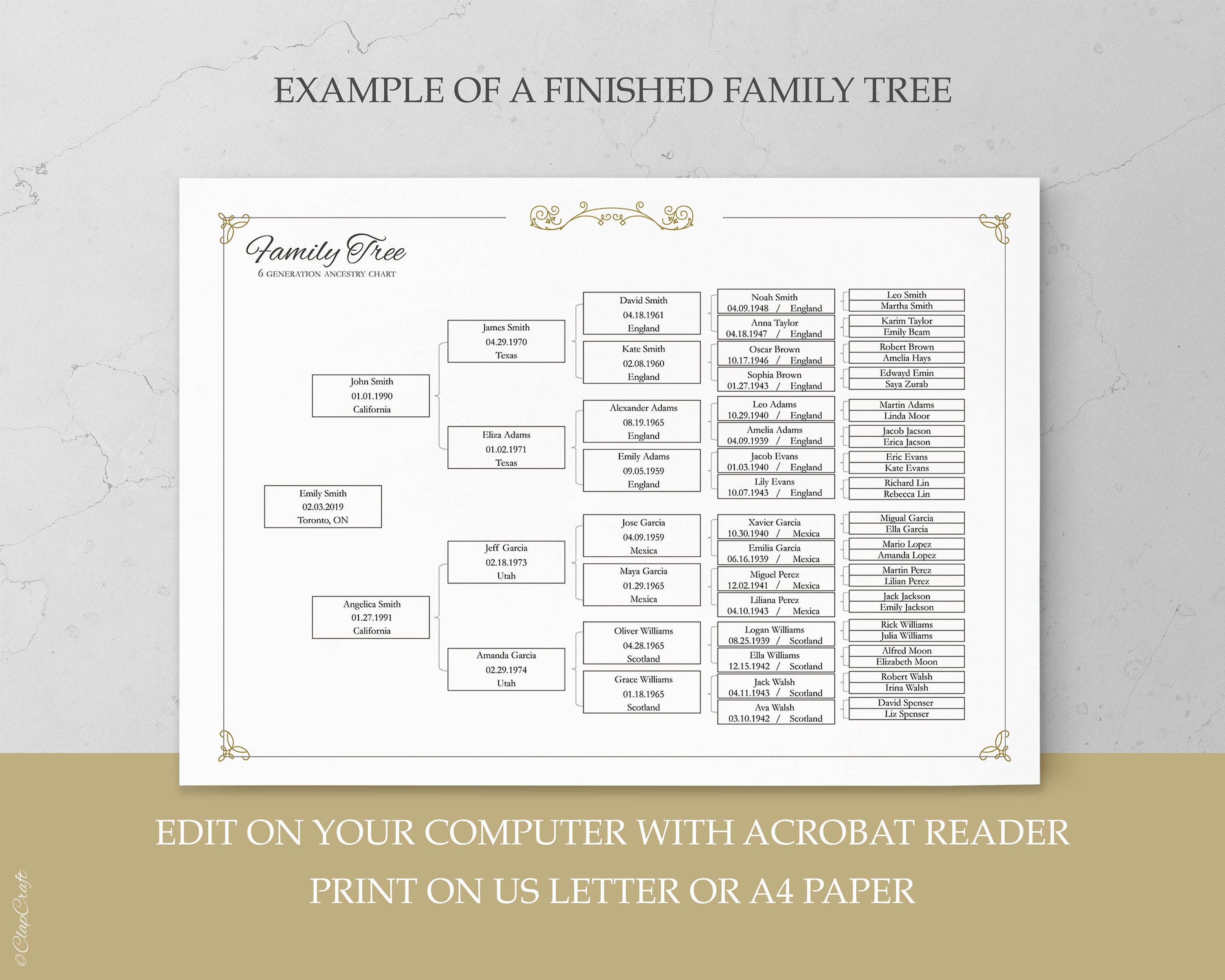 Family Tree Charts To Fill In Blank 6 Generation Fillable Family Tree  Poster Ancestry Family Tree Chart Picture Wall Decor Gift - AliExpress