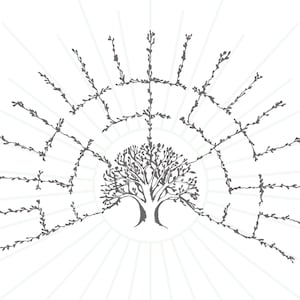 Family Tree Chart Blank Template PNG SVG Ancestor Char DIY Family History Genealogy Gift Genealogy Research Family Tree Fan Chart Template