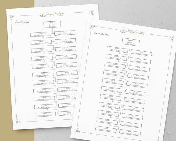 Buy Family Tree Genealogy For Kids: Organizer Chart A Genealogy With Genealogy  Charts And Forms, Family Tree Chart Book Genealogy Gift For Family  &   (Genealogy Organizer Charts and Forms) Online