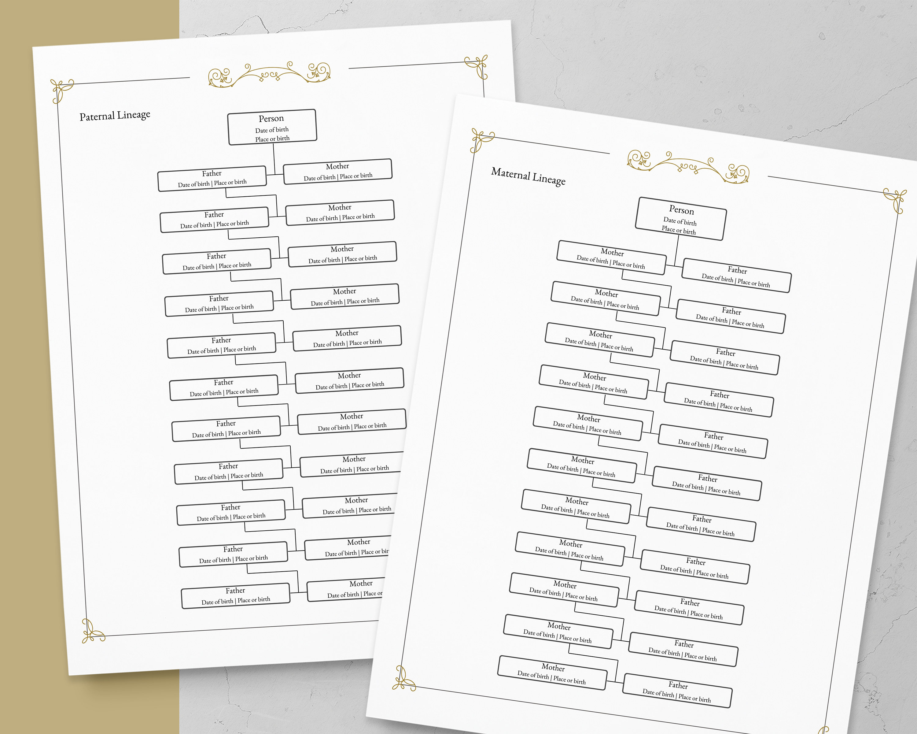Genealogy Organizer Workbook – Interior Graphic by Obayes