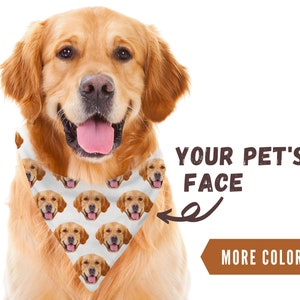 Dog face gifts 2025