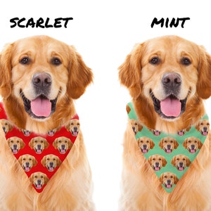 May include: Two golden retriever dogs wearing bandanas with a pattern of their own faces. The bandana on the left dog is red and the bandana on the right dog is mint green. The text "SCARLET" is above the left dog and the text "MINT" is above the right dog.