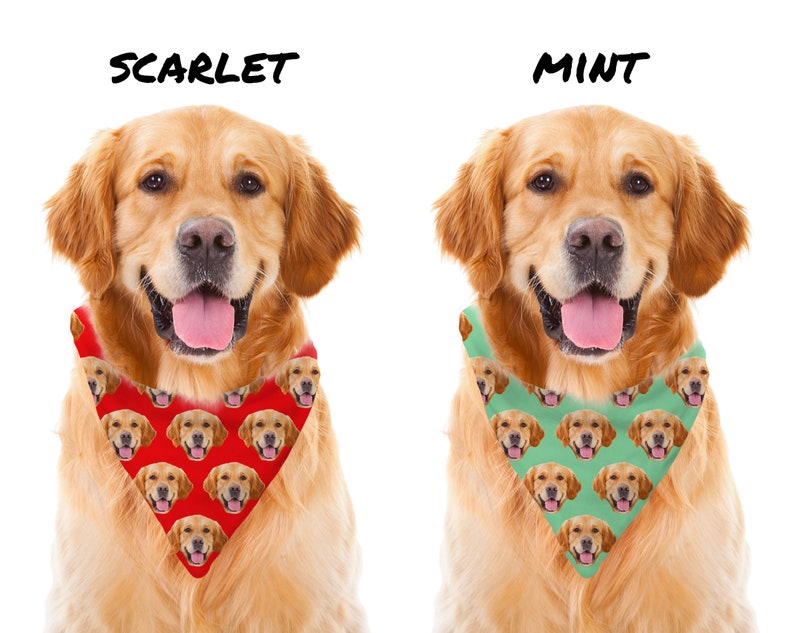 May include: Two golden retriever dogs wearing bandanas with a pattern of their own faces. The bandana on the left dog is red and the bandana on the right dog is mint green. The text "SCARLET" is above the left dog and the text "MINT" is above the right dog.