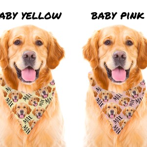 May include: A golden retriever dog wearing a yellow bandana with a repeated pattern of the dog's face and the name "Max" in black text. The dog is smiling and looking at the camera. The bandana is labeled "Baby Yellow".