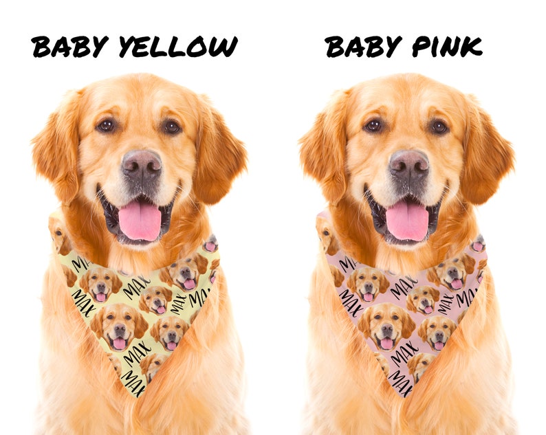 May include: A golden retriever dog wearing a yellow bandana with a repeated pattern of the dog's face and the name "Max" in black text. The dog is smiling and looking at the camera. The bandana is labeled "Baby Yellow".