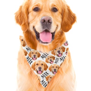 May include: A golden retriever dog wearing a white bandana with a repeated pattern of the dog's face and the name "Max" in black text.