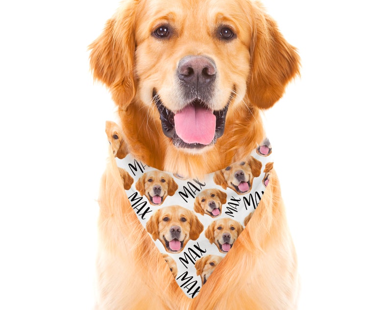 May include: A golden retriever dog wearing a white bandana with a repeated pattern of the dog's face and the name "Max" in black text.