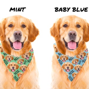 May include: Two golden retriever dogs wearing bandanas with a repeated pattern of a dog's face and the word "MAX". The bandana on the left dog is mint green and the bandana on the right dog is baby blue.