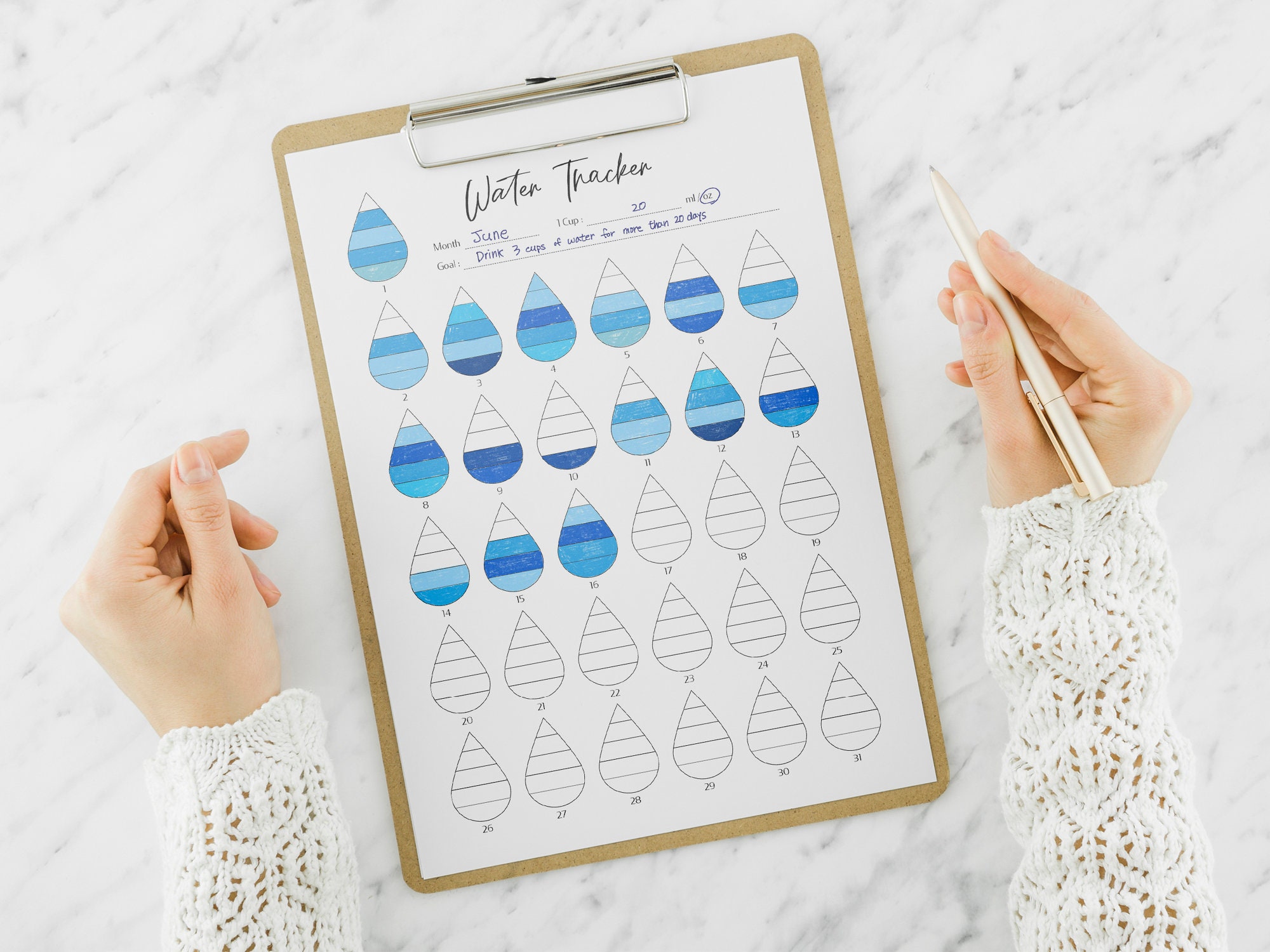 Water Tracker Template PDF, Printable Planner, Water Intake Health ...