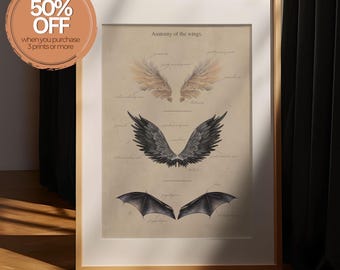 Fantasy Wing Anatomy Art Print, Mythical Species Poster, Dark Decor (Digital Download)