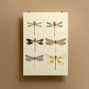 Dragonfly, Dark Academia Decor, Victorian Pictures, Grunge Room Ideas, Vintage Poster, Printable Art Digital Download, Digital Prints,