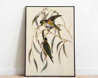 birds, vintage poster, digital art print, printable art, instant download, digital download, digital prints, printable wall art