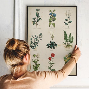 K&ouml;nnte beinhalten: Ein gerahmter botanischer Druck mit neun verschiedenen Pflanzen- und Blumensorten. Der Druck hat einen cremefarbenen Hintergrund mit schwarzen Textbeschriftungen f&uuml;r jede Pflanze. Der Druck wird an einer wei&szlig;en Wand aufgeh&auml;ngt.