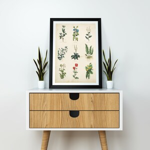 K&ouml;nnte beinhalten: Ein schwarzer gerahmter Druck einer botanischen Illustration mit neun verschiedenen Pflanzen mit gr&uuml;nen Bl&auml;ttern und Bl&uuml;ten in Blaut&ouml;nen, Rot und Wei&szlig;. Der Druck wird auf einem Nachttisch aus Holz mit zwei Schubladen pr&auml;sentiert.