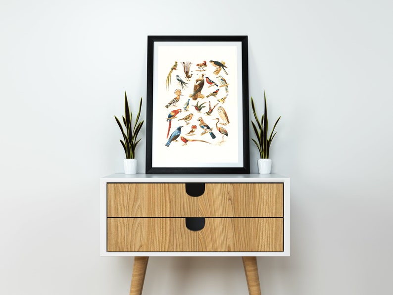 Digital Download Digital Art Print Digital Prints Printable Art Vintage Poster Printable Wall Art Birds Instant Download
