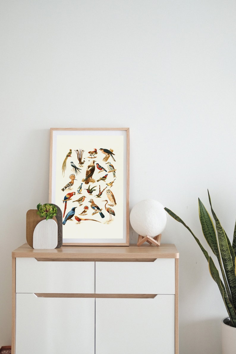 Digital Download Digital Art Print Digital Prints Printable Art Vintage Poster Printable Wall Art Birds Instant Download
