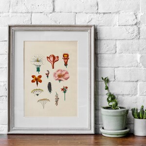 Flowers, Vintage Poster, Digital Art Print, Printable Art, Instant Download, Digital Download, Digital Prints, Printable Wall Art