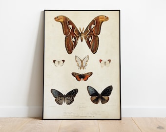 Butterflies , Vintage Poster, Digital Art Print, Printable Art, Instant Download, Digital Download, Digital Prints, Printable Wall Art