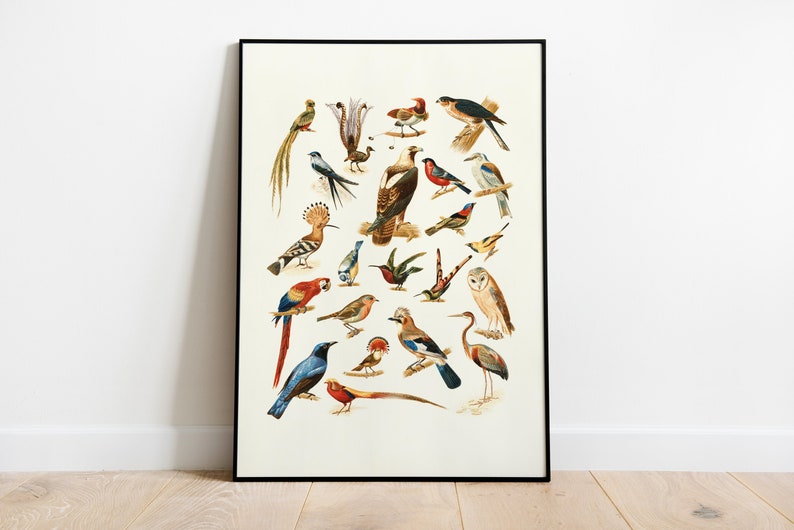 Digital Download Digital Art Print Digital Prints Printable Art Vintage Poster Printable Wall Art Birds Instant Download