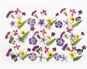 May include: A collection of dried flowers and ferns, arranged on a white background. The flowers are in shades of purple, pink, yellow, and white. Green ferns are interspersed. The composition is symmetrical and decorative.