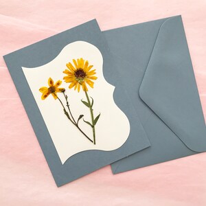 Vraies cartes de fleurs pressées - PAS d'impression - assortiment de cartes plié - cadeau carte unique - SC014