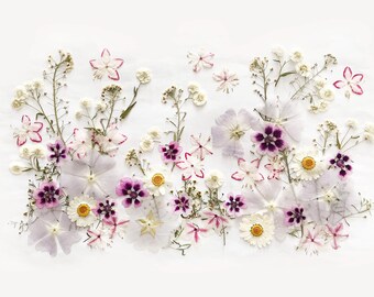 50+ Mixed Pressed Flowers - Edible Flowers  for Cake Decorations,  Crafts, Flower Arts - DF 048-6