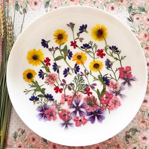 50 fleurs pressées et verdures variées - Résine époxy, fabrication de cartes, fleurs pressées - Cadeau DIY pour bricoleur - DF044-4