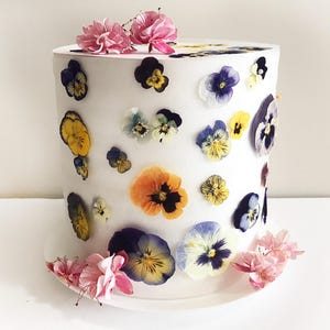 25/50 Pcs Pressed Edible Pansies Flowers - Mixed Approx. 2 1/2&quot;-3/4&quot; - Cocktail, Cake Decoration, Resin, Jewelry or Craft- DF021M
