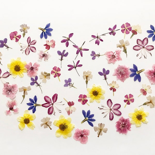 50+ Pcs Mixed Pressed Edible Flowers - Brownie, Cookie, Cocktail, Cupcake, Cake Decoration  DF45-1