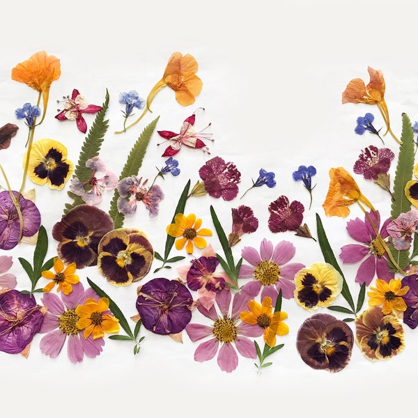 Pressed Flowers - Etsy UK