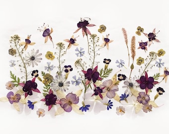 50+ Mixed Pressed Flowers - Edible Flowers  for Cake Decorations,  Crafts, Flower Arts - DF 047-8