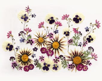 50+ Mixed Edible Pressed Flowers & leaves, Food-Safe Flowers, Cake Decorating, Resin Crafts, Birthdays, Baby Showers, Special Events -DF47-2