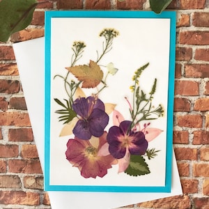 Vraies cartes de fleurs pressées - cartes de fleurs plastifiées - PAS D'IMPRESSION - assortiment de cartes plié - cadeau carte unique - SC011-6
