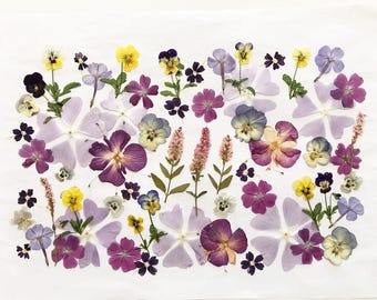 Pode incluir: Uma coleção de flores prensadas em tons de roxo, lavanda, rosa, amarelo e branco. O arranjo inclui vários amores-perfeitos, flox e caules verdes finos com folhas pequenas, tudo exibido contra um fundo branco liso.