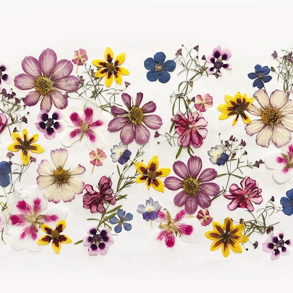 Reserved for John - 50+ Pcs Mixed Pressed Edible Flowers - Brownie, Cookie, Cocktail, Cupcake, Cake Decoration  DF000