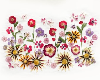 50+ Mixed Edible Pressed Flowers & leaves, Food-Safe Flowers, Cake Decorating, Resin Crafts, Birthdays, Baby Showers, Special Events -DF49-5