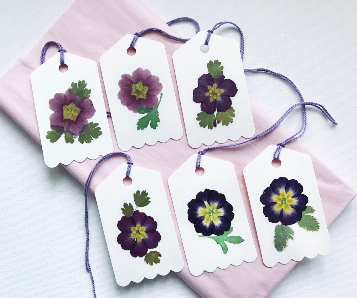 Set of 6 Real Pressed Flower Gift Tags Botanical Gift Tags Etsy
