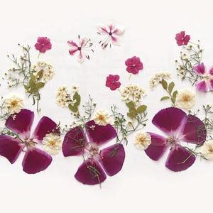 Rose-Tone Pressed Flower Mix, Real Dried Flowers for Wall Art Resin Art, Candles, Cake Decorating, Greeting Cards & DIY Floral Crafts -DIY03