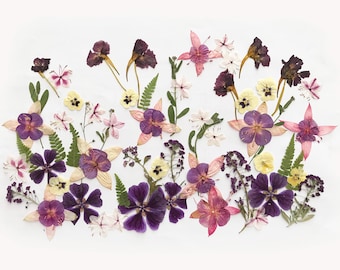 May include: A collection of dried flowers in various colors, including purple, pink, yellow, and white, arranged on a white background. The arrangement features different flower types and green fern-like leaves, creating a natural and artistic display.