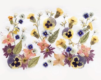 50+ Mixed Edible Pressed Flowers & leaves, Food-Safe Flowers, Cake Decorating, Resin Crafts, Birthdays, Baby Showers, Special Events-DF49-10