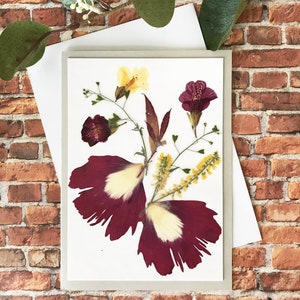 Vraies cartes de fleurs pressées - cartes de fleurs plastifiées - PAS D'IMPRESSION - assortiment de cartes plié - carte cadeau unique - SC011-2
