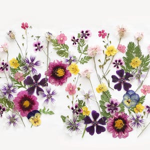 50+ fiori pressati misti - fiori commestibili per decorazioni di torte, artigianato, arti floreali - DF051-8