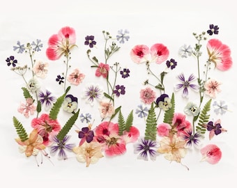 May include: A collection of pressed flowers in various colors, including pink, purple, and white, arranged on a white background. The arrangement features different flower types and green leaves, creating a natural and delicate aesthetic.