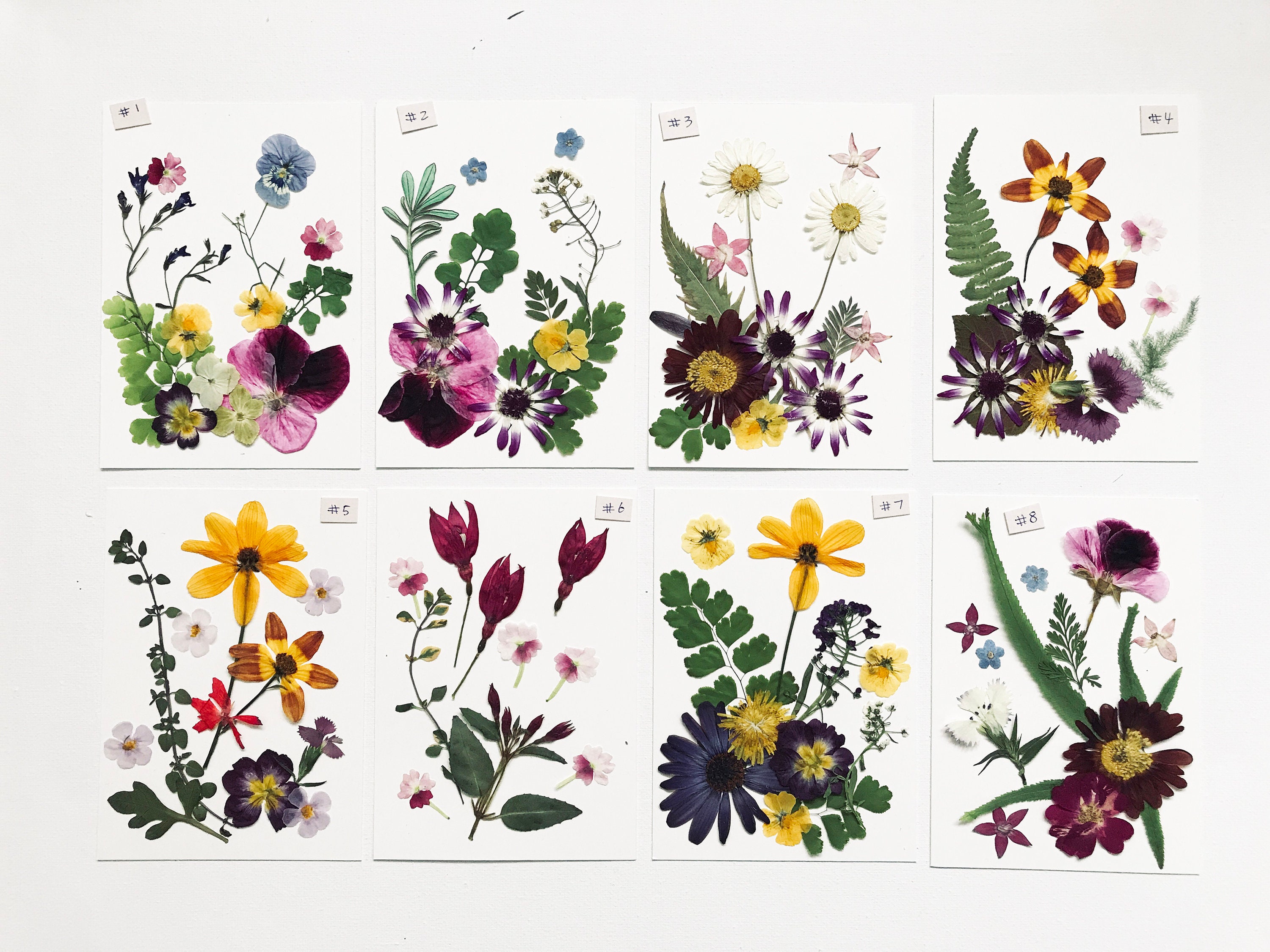 DIY Material DF0437 Arrangement Pressed Flowers for Card Making