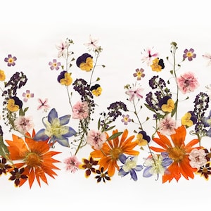 50+ Mixed Edible Pressed Flowers & leaves, Food-Safe Flowers, Cake Decorating, Resin Crafts, Birthdays, Baby Showers, Special events -DF50-6